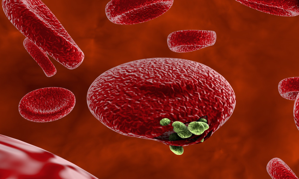 How Do Malaria Tablets Work?
