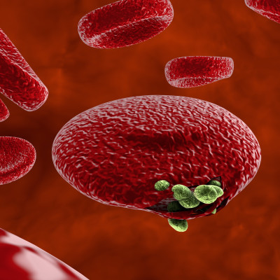 How Do Malaria Tablets Work?