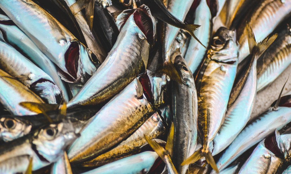 A Healthy Liver Means No Plastic Consumption