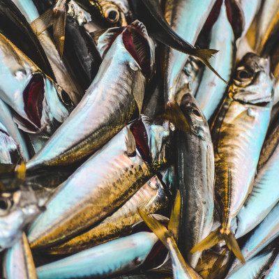 A Healthy Liver Means No Plastic Consumption