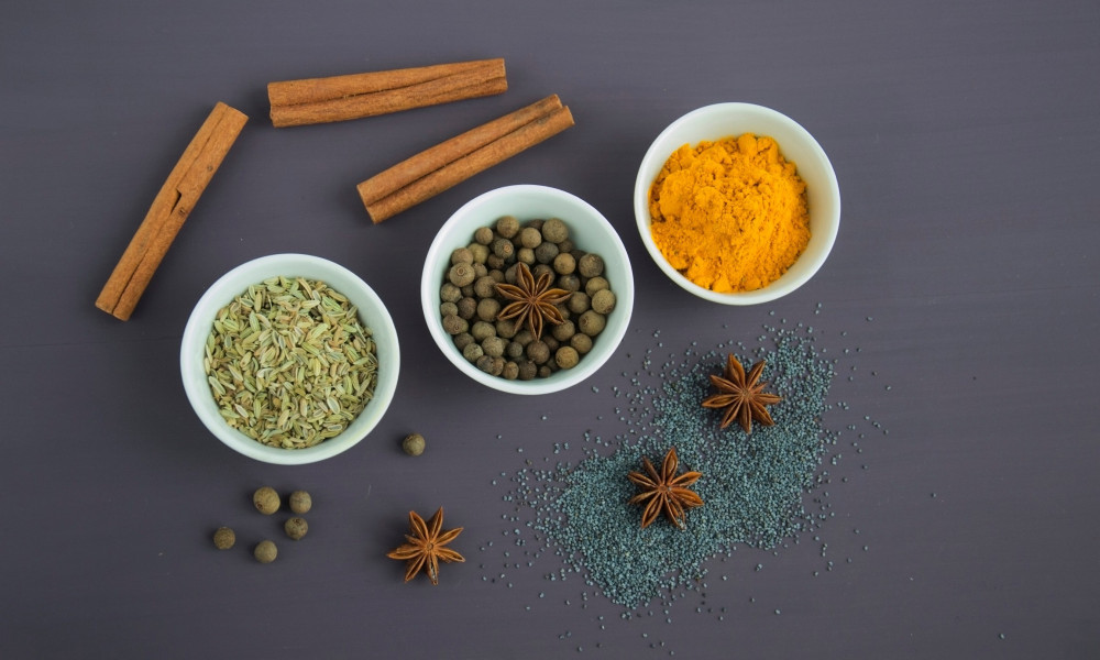 Ayurvedic Versus Conventional Medicine