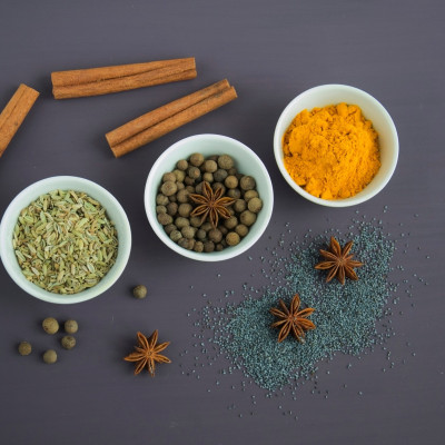 Ayurvedic Versus Conventional Medicine